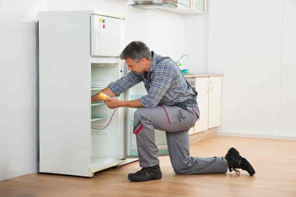 Useful Refrigerator Tips You Need to Know